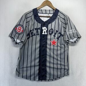 Detroit Tigers Hoodie Mens Medium Gray Stars Pinstriped Negro League SGA Stadium